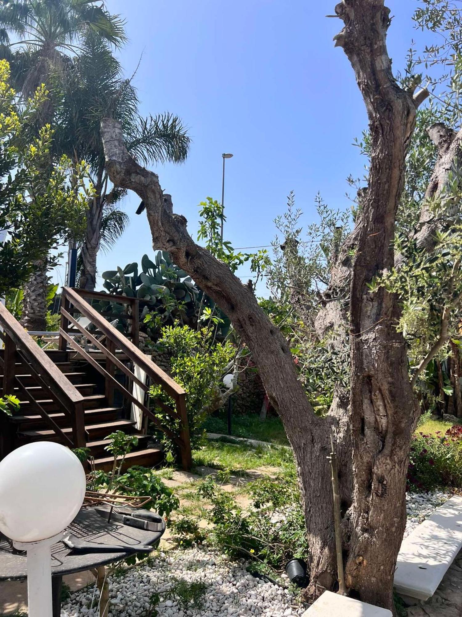 Villa Casa Vacanze Fiore Gallipoli Εξωτερικό φωτογραφία
