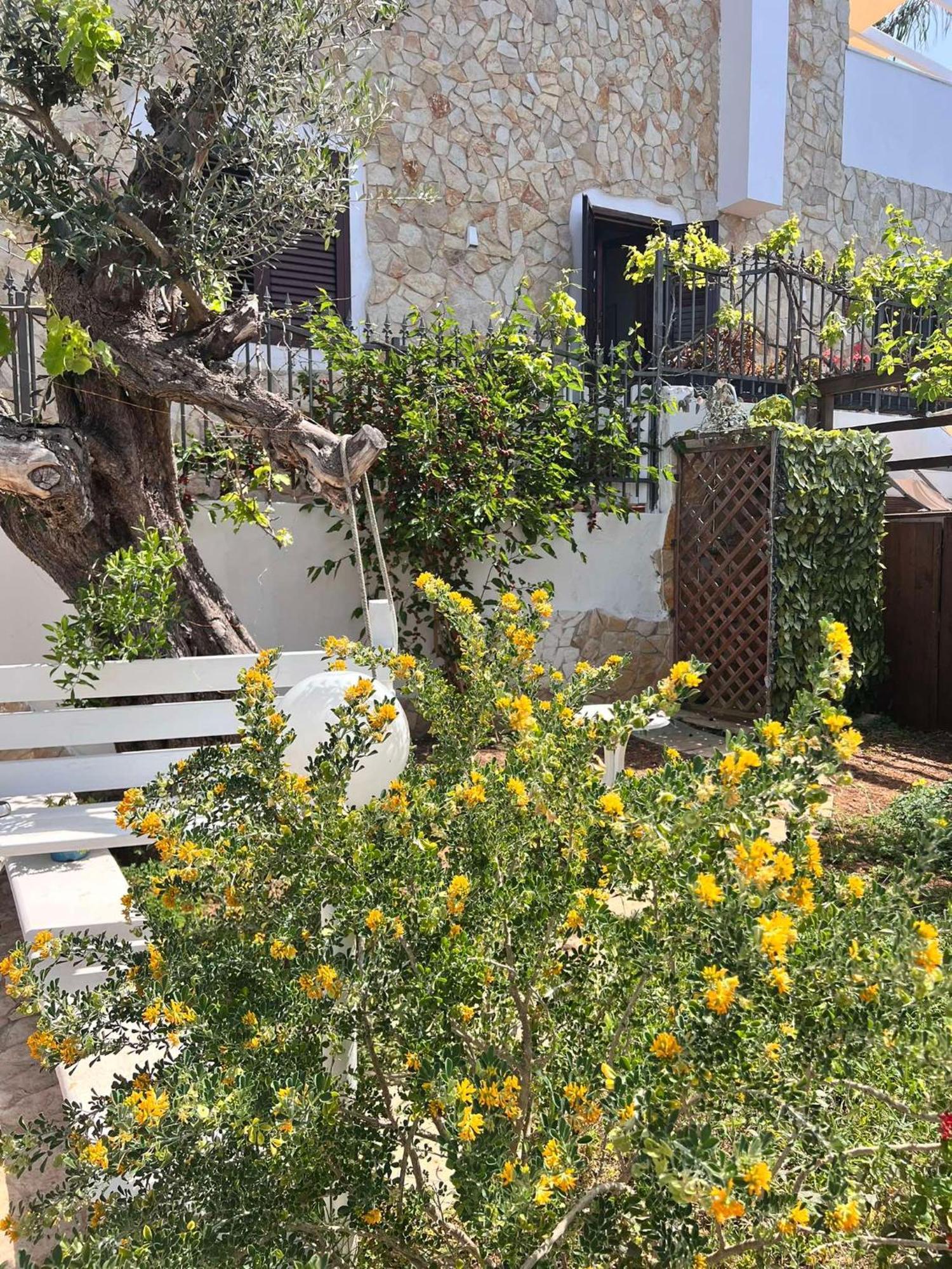 Villa Casa Vacanze Fiore Gallipoli Εξωτερικό φωτογραφία