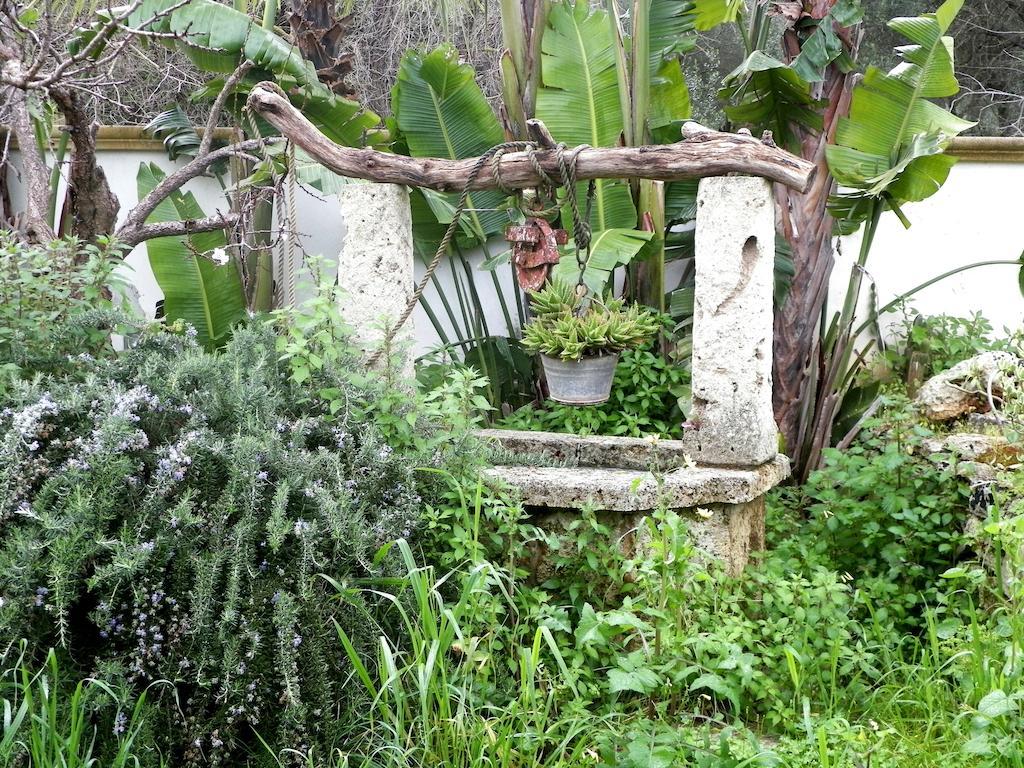 Villa Casa Vacanze Fiore Gallipoli Εξωτερικό φωτογραφία